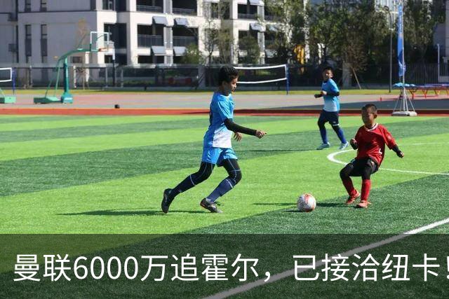 曼联6000万追霍尔，已接洽纽卡！还有仅1400万的替代候选