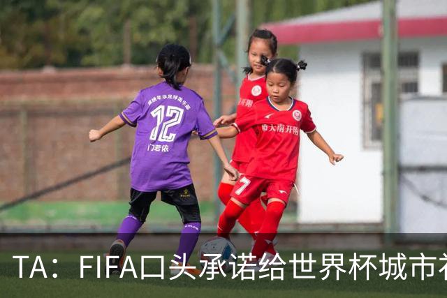 TA：FIFA口头承诺给世界杯城市补贴但至今没消息，美国各市在追讨